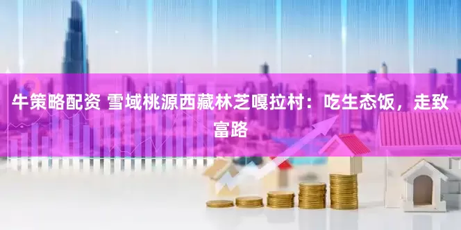 牛策略配资 雪域桃源西藏林芝嘎拉村：吃生态饭，走致富路